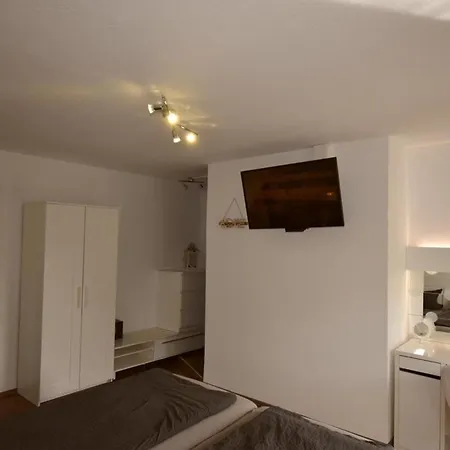 Border Collie * ドルヌム