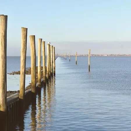 Border Collie アパート *