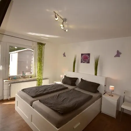 شقة Border Collie *