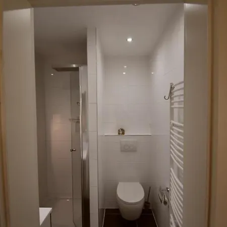 Border Collie ドルヌム