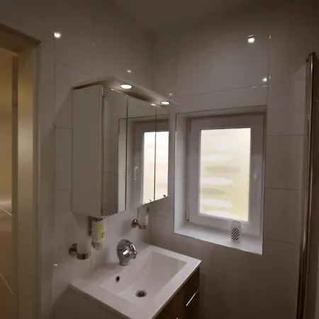Border Collie Apartment