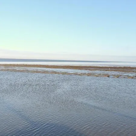 Border Collie شقة دورنوم