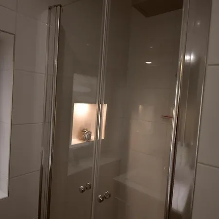 Border Collie ドルヌム