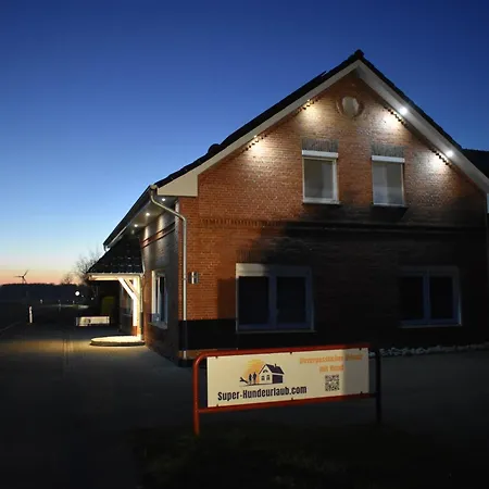 Border Collie * ドルヌム