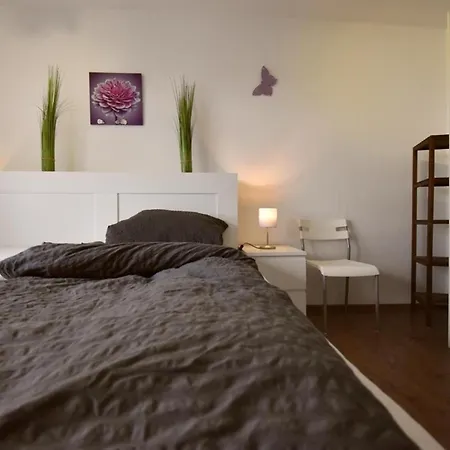 アパート Border Collie *