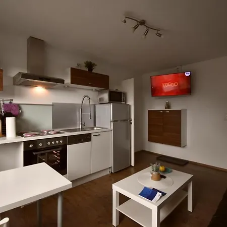Border Collie Apartment
