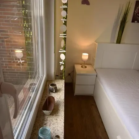 Border Collie شقة *