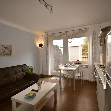 شقة Border Collie *