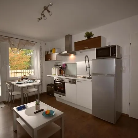 Border Collie ドルヌム