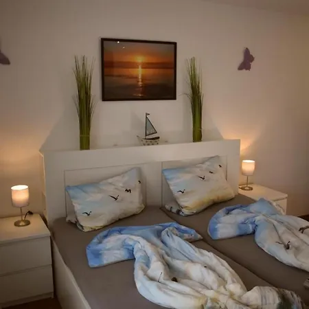 アパート Border Collie *