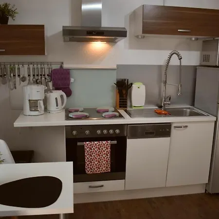 Border Collie ドルヌム