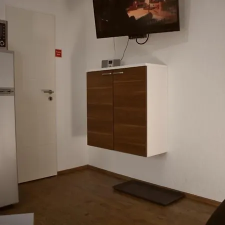 Border Collie ドルヌム