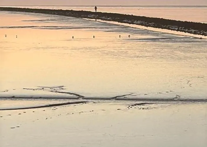 Border Collie Appartement *