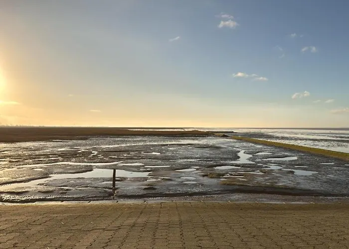 Border Collie Appartement Dornum