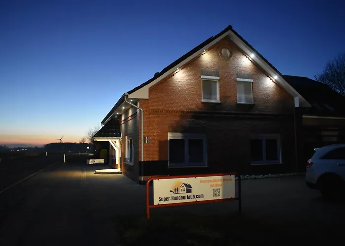 Border Collie * Dornum