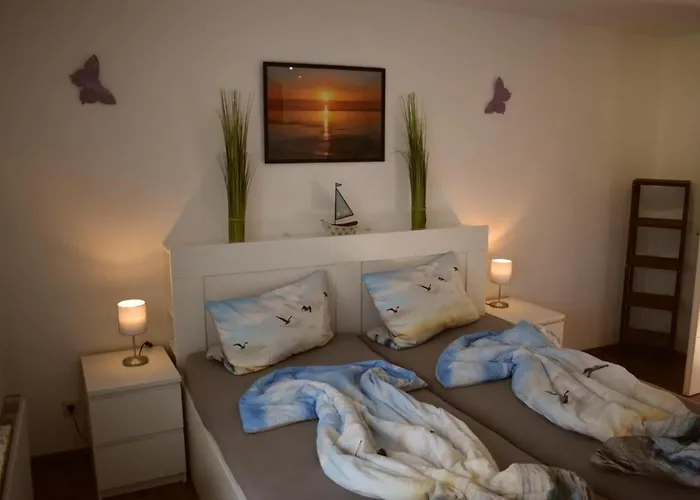 Appartement Border Collie *