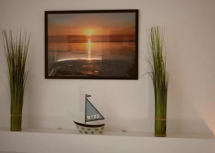 Border Collie Appartement