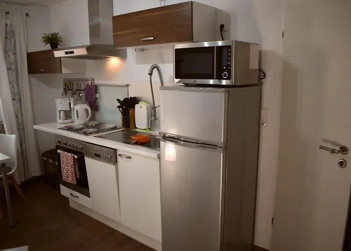 Border Collie * Dornum