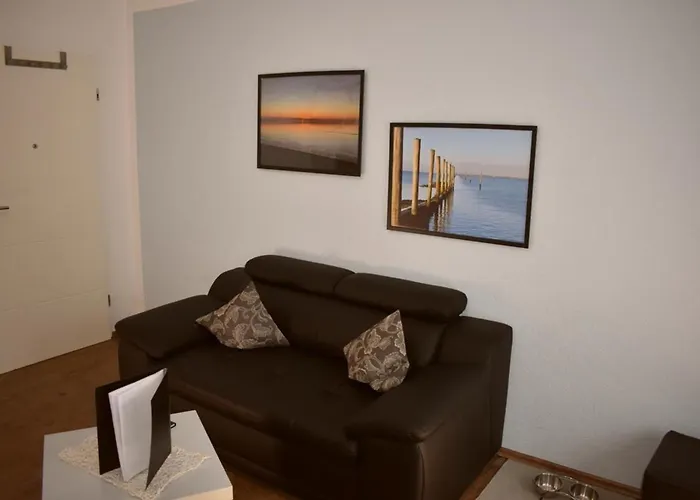 Border Collie Appartement