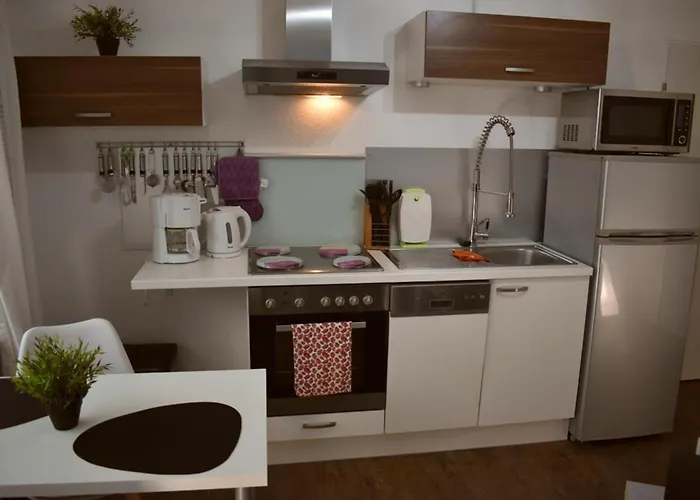 Border Collie Dornum