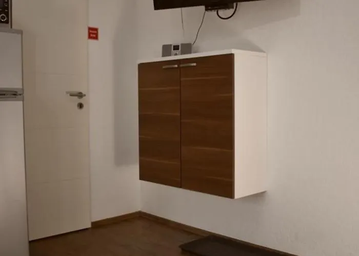 Border Collie Dornum